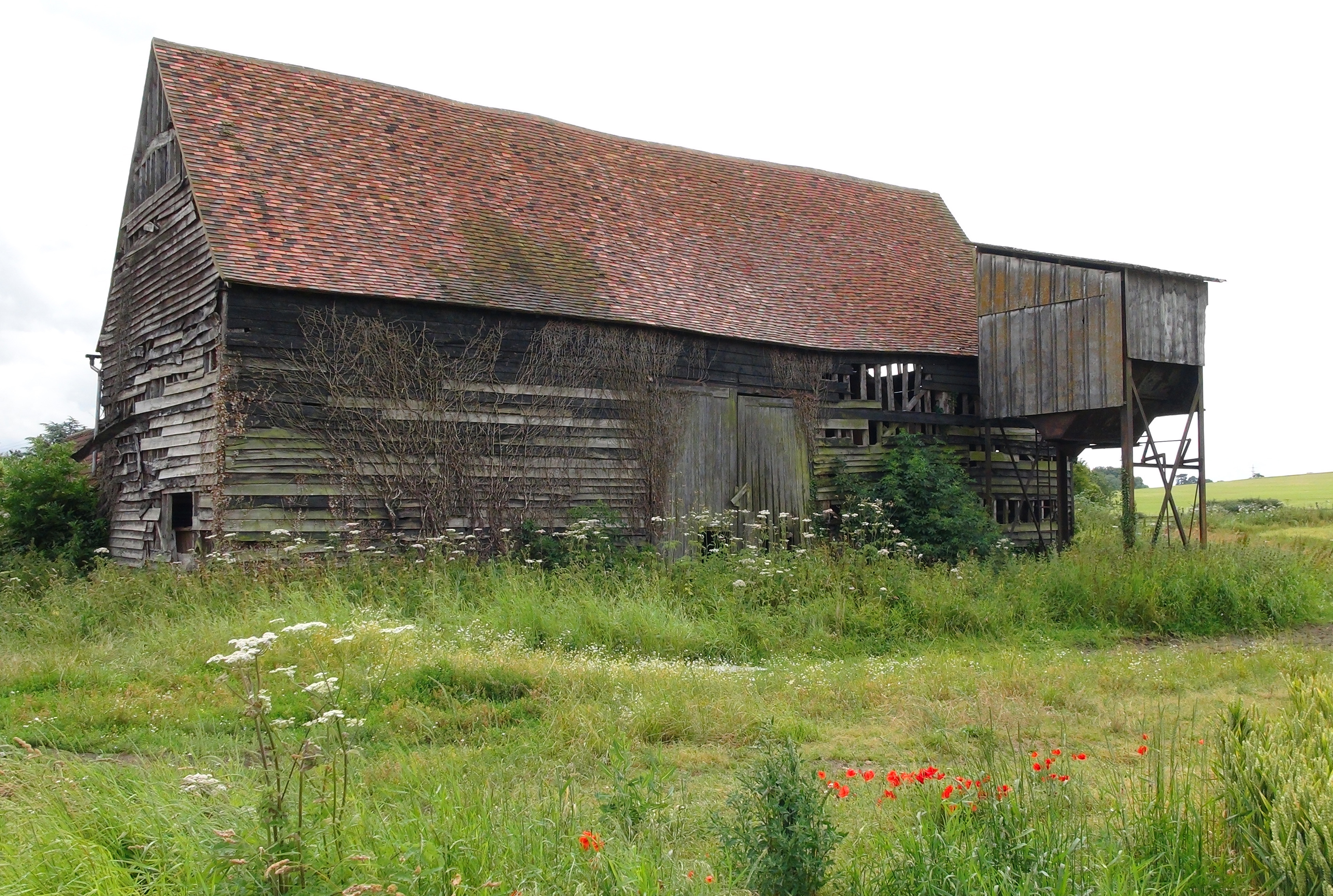 Woodoaks Black Barn in 2014